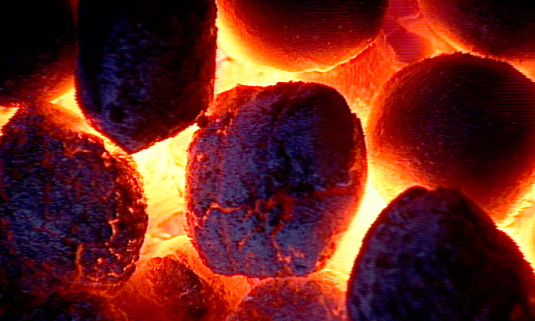 Le cycle du carbone - Introduction - 2mn 12s